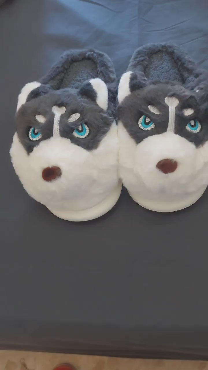 Armsad husky-sussid, mis toovad koju rõõmu, soojust ja mugavust iga sammuga